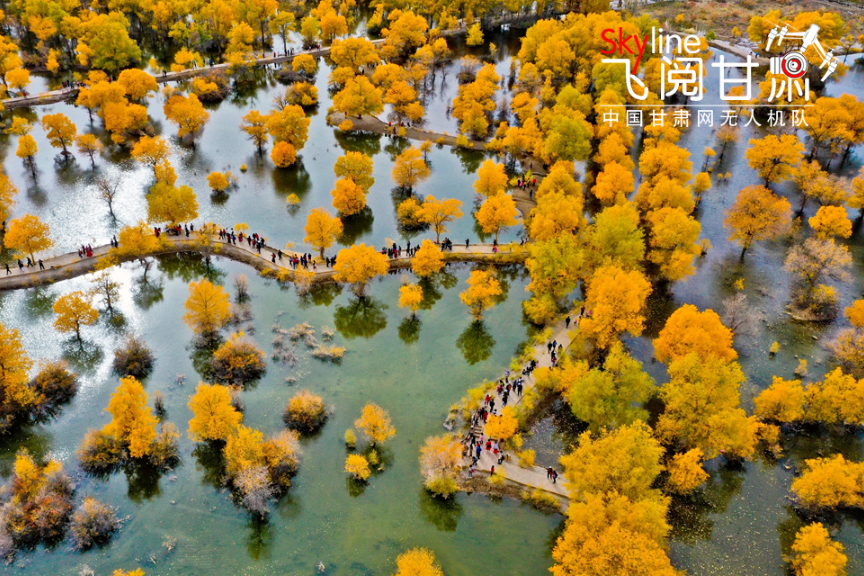 【飞阅凯发k8】酒泉金塔：胡杨林里的“醉美”秋色