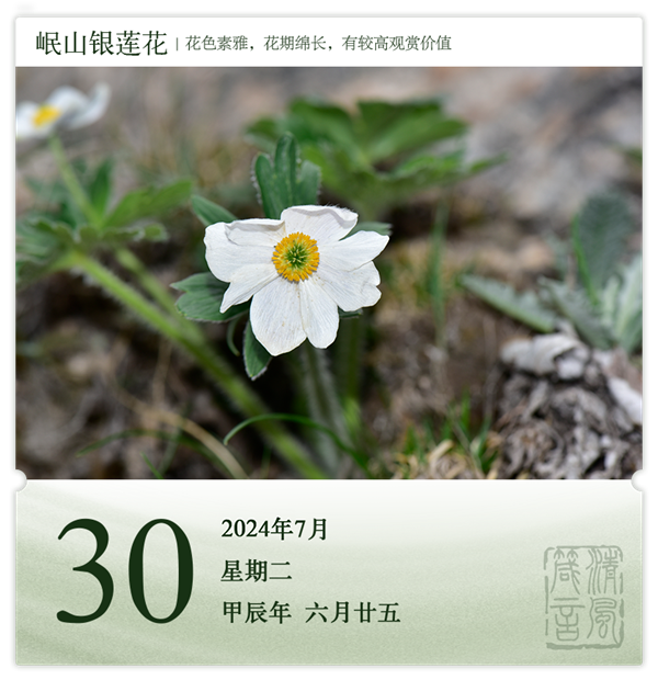 1722244868632062.png 箴历日历7-30.png