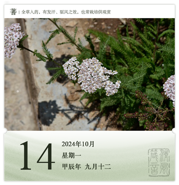 1728714743676687.png 箴历日历10-14.png