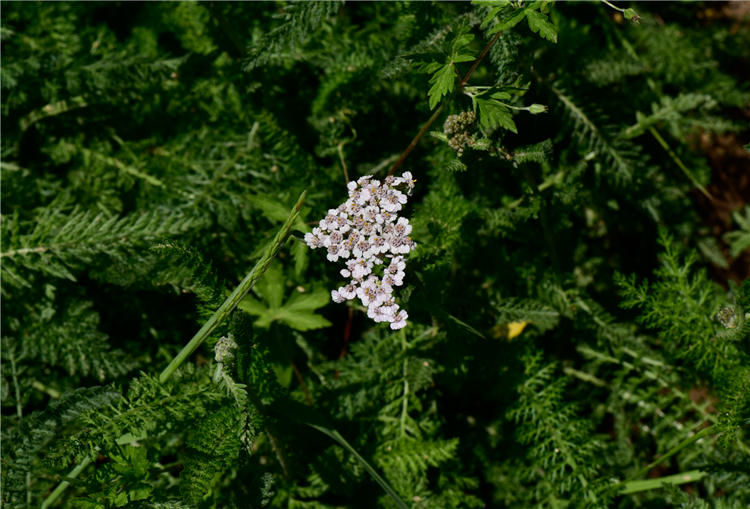 1728714735101903.png 14-2.png