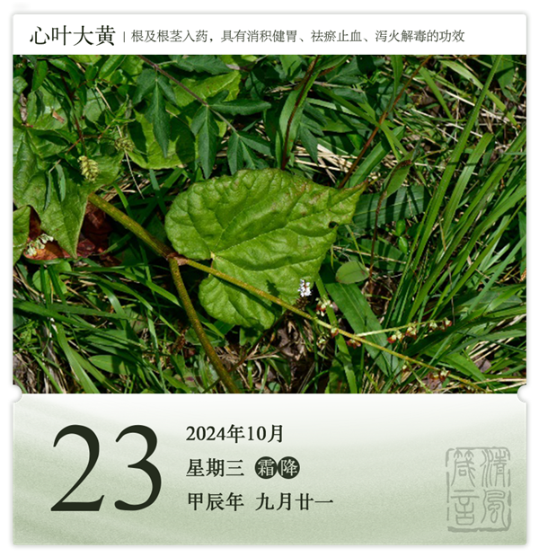 1729585936525581.png 箴历日历10-23.png