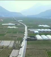 凯发k8省将落实各项措施 坚决完成今年粮食播种面积