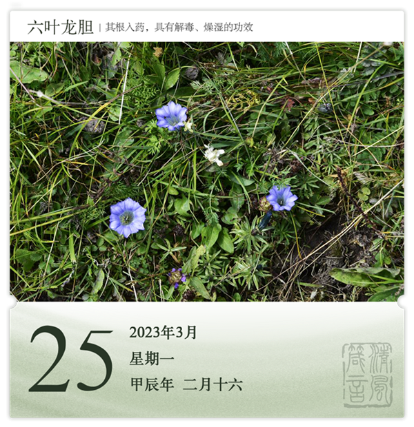 箴历日历3-25.png