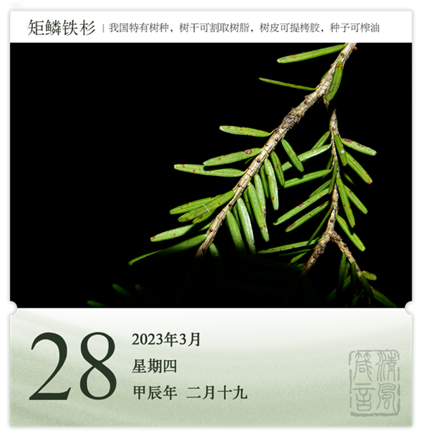 箴历日历3-28.png